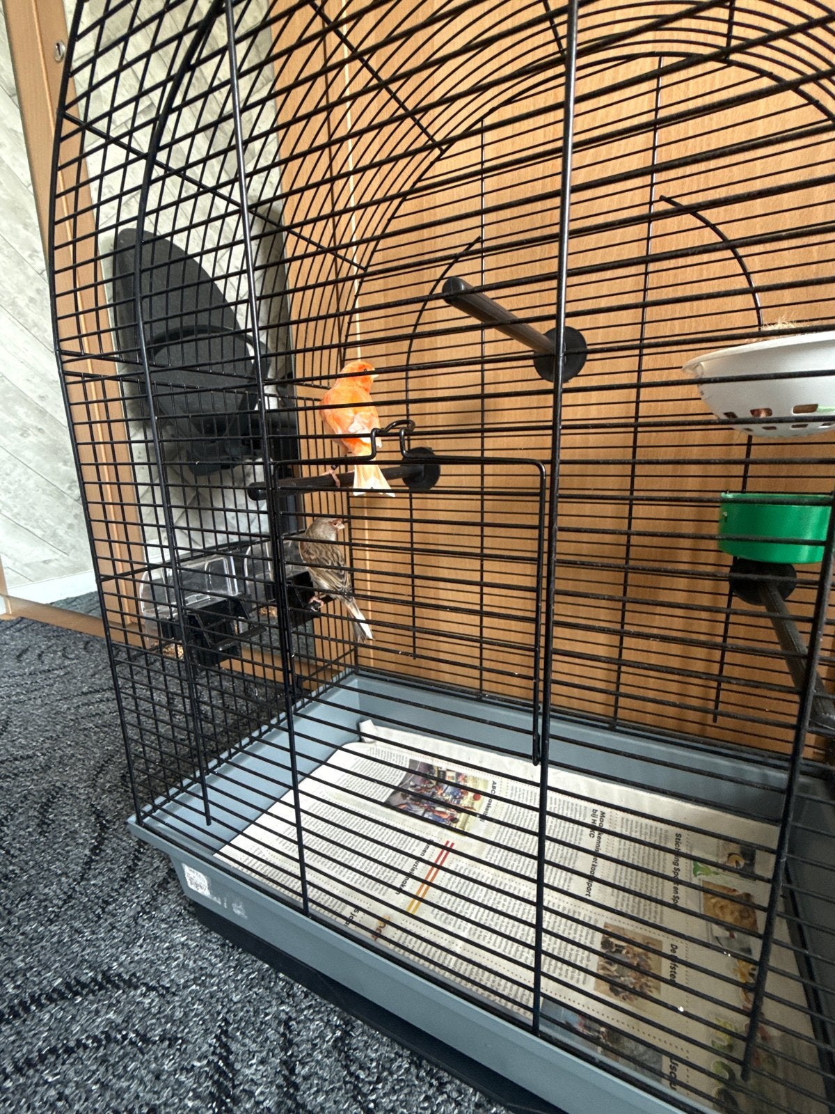 Werken dan, Dieren en Toebehoren