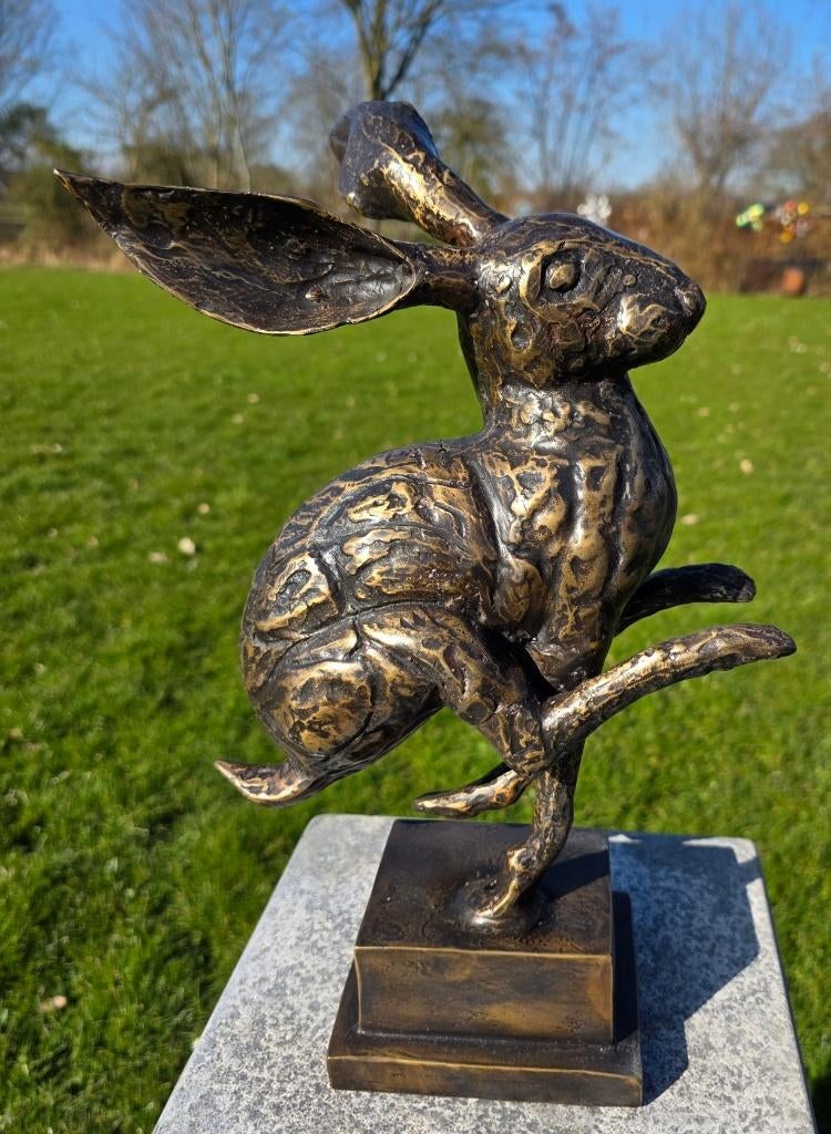 HAAS / bronzen tuinbeeld, Tuin en Terras, Tuinbeelden, Dierenbeeld, Nieuw, Info@huisentuindecoratiemarie.nl, Huis en tuin decoratie marie