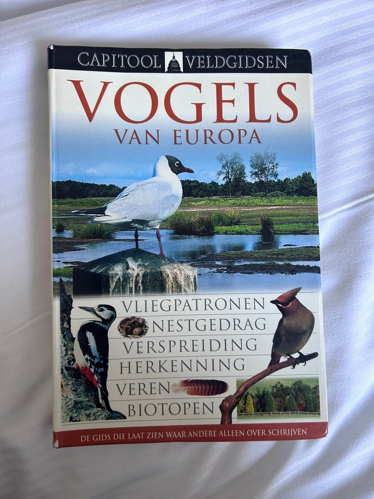 Rob Hume vogelboek Vogels van Europa Capitool veldgidsen, Boeken, Ophalen of Verzenden, Zo goed als nieuw, Rob Hume, Vogels