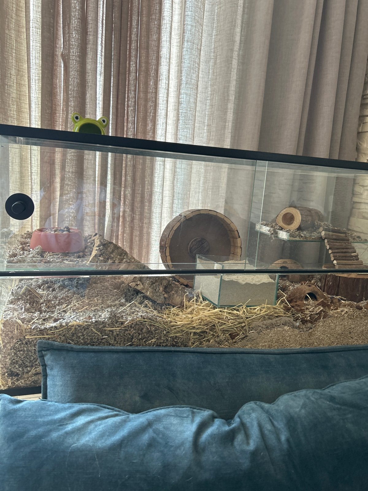 Hamster hok compleet met toebehoren, Dieren en Toebehoren, Knaagdieren en Konijnen | Toebehoren, Ophalen, Gebruikt, Overige typen