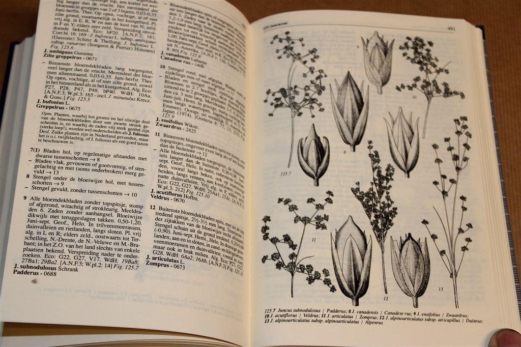 Heukels\' Flora van Nederland — Hét Standaardwerk [21e Druk], Boeken, Natuur, Ophalen of Verzenden, Zo goed als nieuw, Bloemen, Planten en Bomen