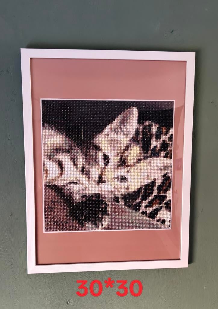 Custom Diamond Painting, Ophalen of Verzenden, Nieuw, 50 tot 75 cm, Overige typen