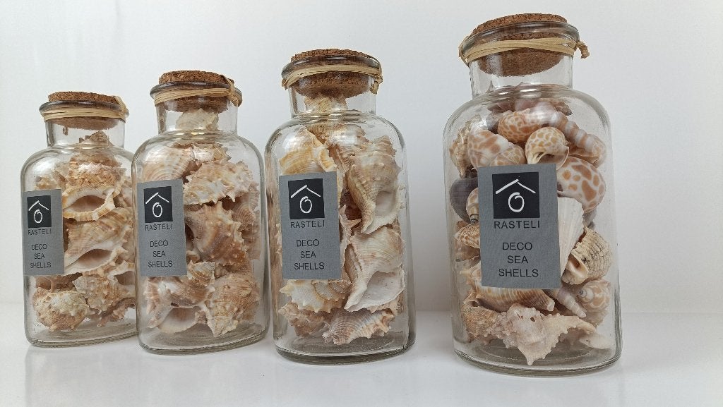Rasteli deco sea shells in glas met kurk, Verzenden, Nieuw