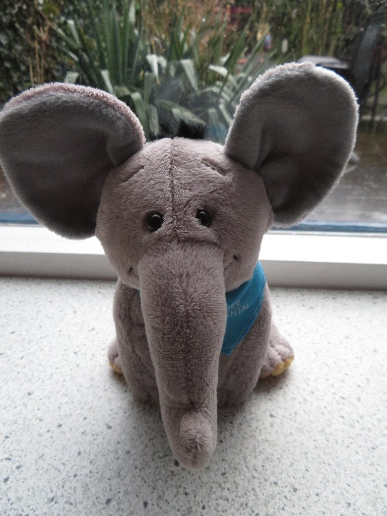 Olifant merk Kehl Dürr Dental met een blauwe halsdoek witte, Ophalen of Verzenden, Zo goed als nieuw, Olifant, Wasbaar