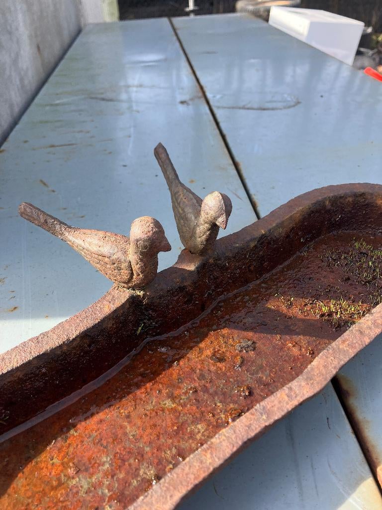 vogel drinkbak te koop, Tuin en Terras, Ophalen, Gebruikt