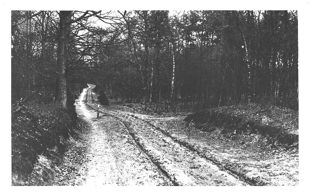 966467 Elspeet Poolsche weg 1951 Gelopen met postzegel, Ophalen of Verzenden, 1940 tot 1960, Gelopen, Noord-Holland