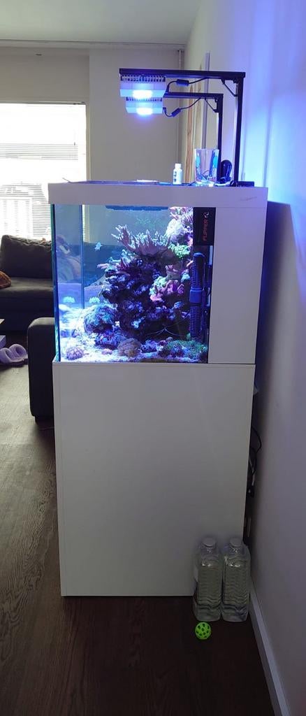 Zeewater aquarium zeeaquarium Red Sea 450 met skimmer, Dieren en Toebehoren, Overige typen