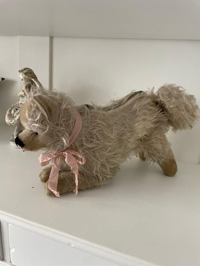 Antiek pyjama hondje pomeriaan, Ophalen of Verzenden