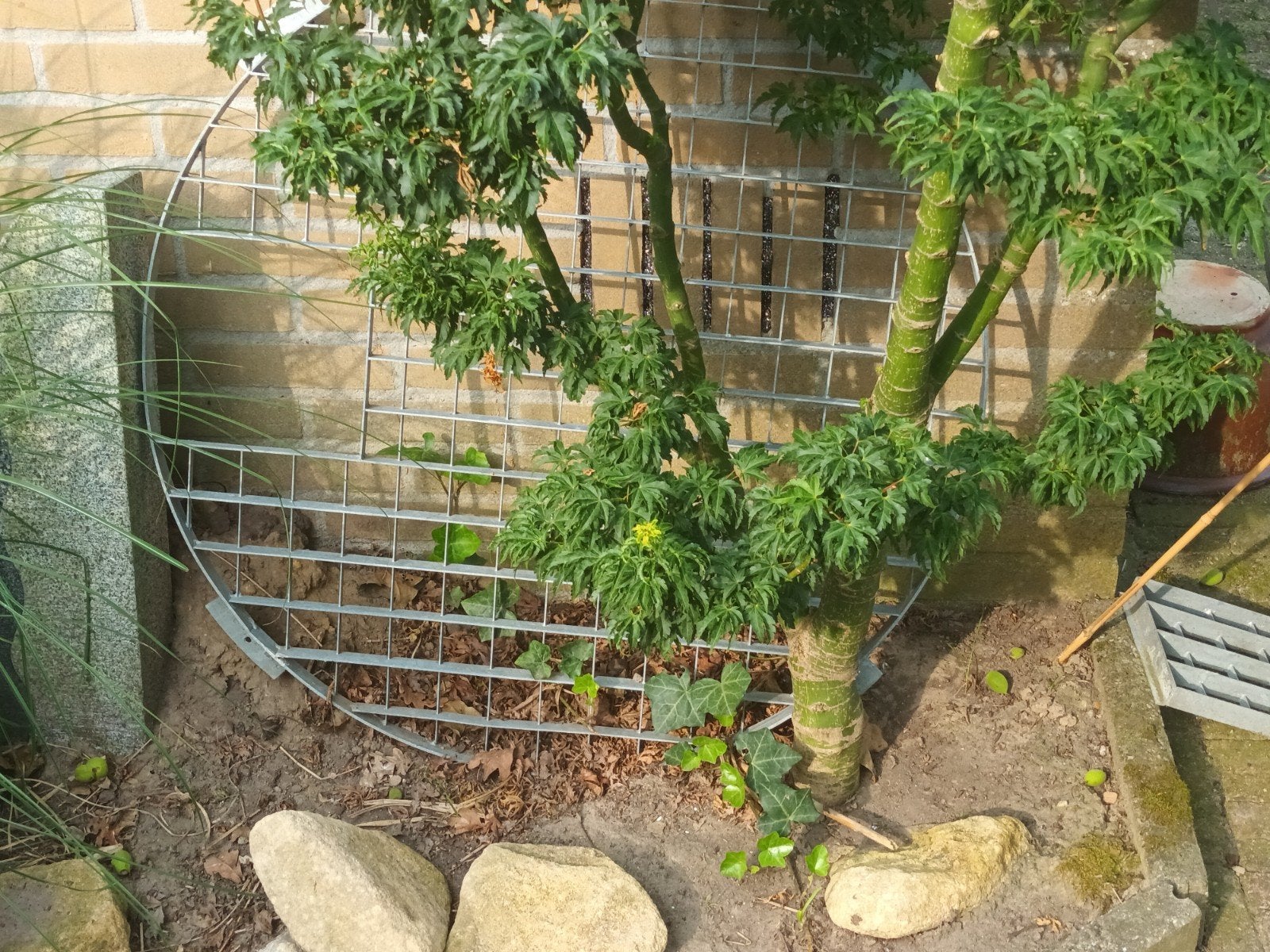 Nieuwe bak voor fontein of ornament inclusief rooster, Tuin en Terras, Waterpartijen en Fonteinen, Ophalen of Verzenden, Nieuw
