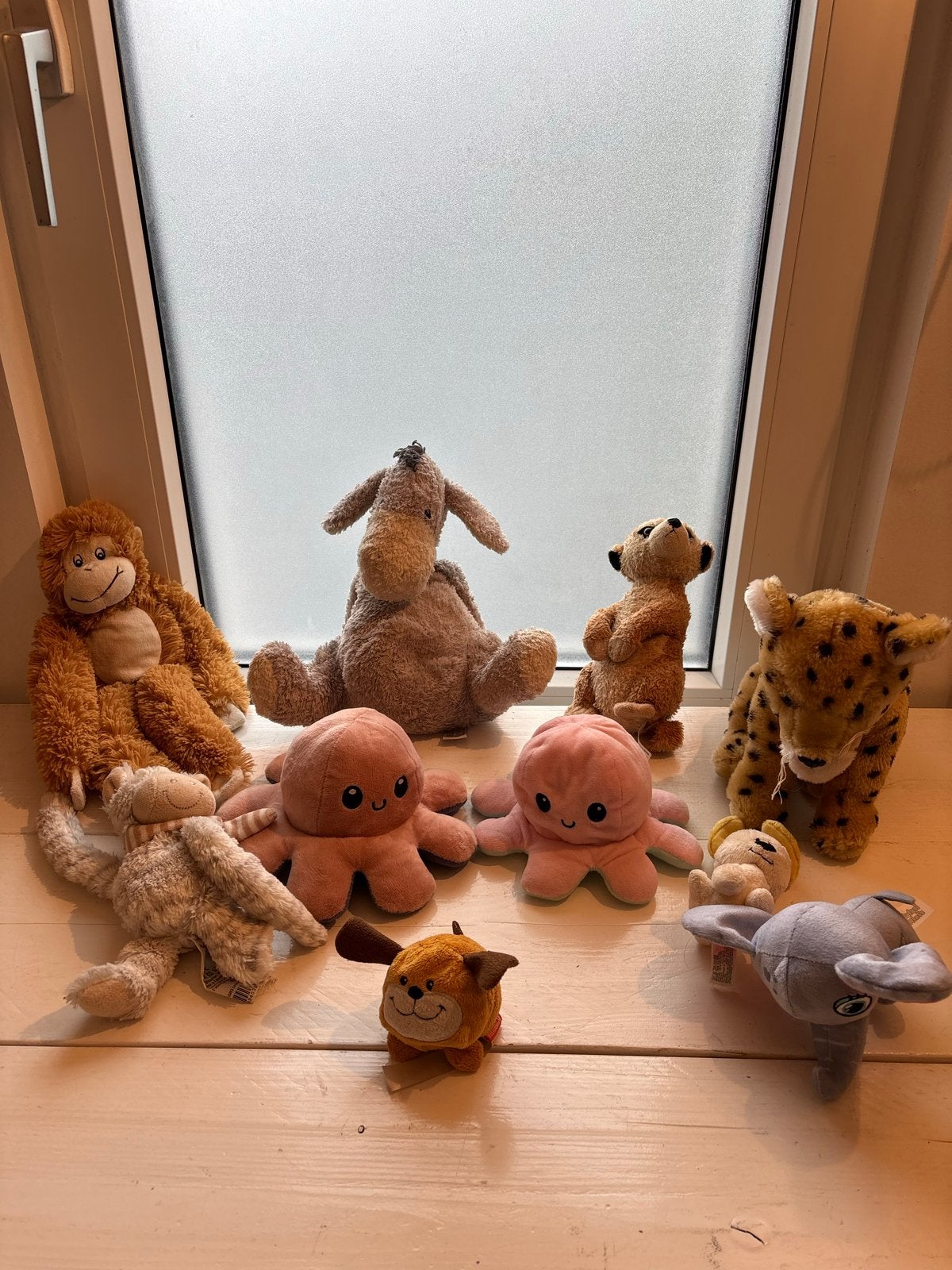 Diverse knuffels - aap, olifant, octopus en meer, Gebruikt, Overige typen, Ophalen of Verzenden, Middelgroot (20 tot 80 cm)