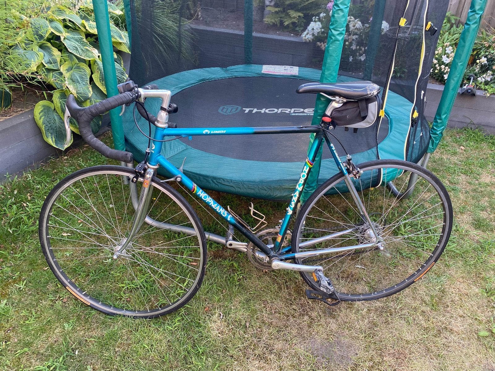 Racefiets hopmans gambero, Ophalen of Verzenden, Aluminium, Meer dan 20 versnellingen, Overige merken