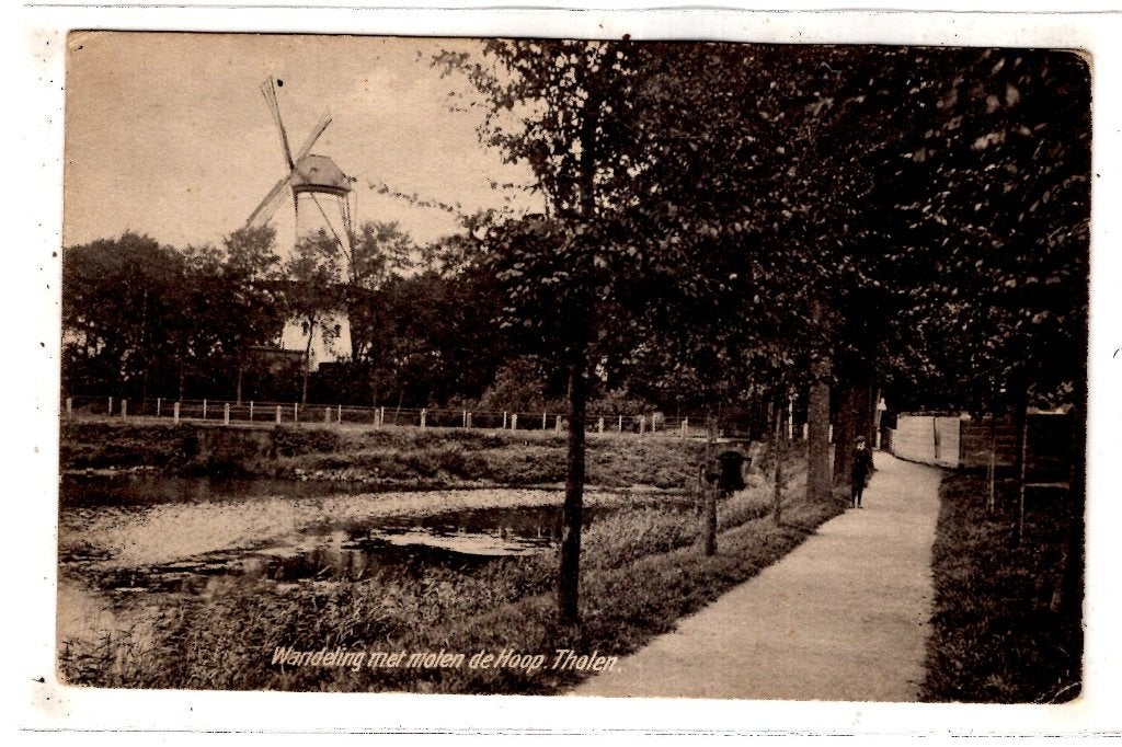 Tholen Molen  ca 1910, Verzamelen, Ophalen of Verzenden, Voor 1920, Ongelopen, Zeeland