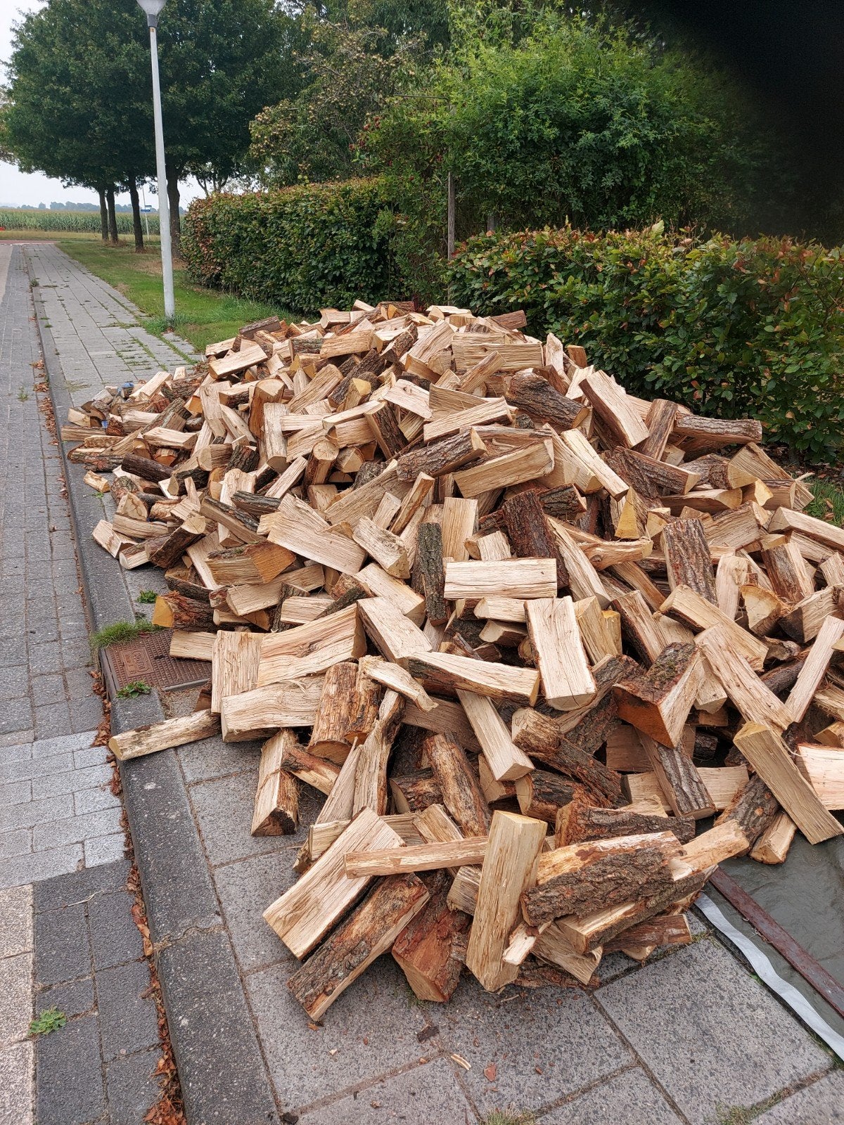 Hardhout mix 30cm ovengedroogd haardhout, Tuin en Terras, Minder dan 3 m³, Ophalen, Blokken