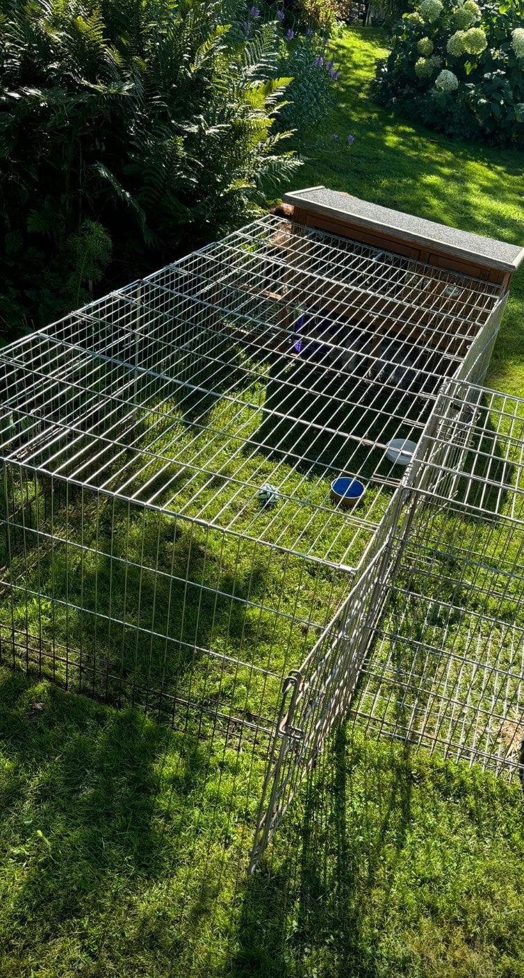 Grote stevige buitenren voor bijv. konijnen, Ophalen, Zo goed als nieuw, 110 cm of meer, Ren
