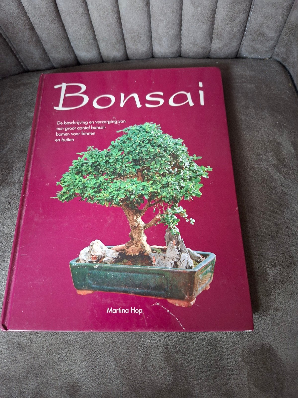 Bonsai: Beschrijving en verzorging van bonsai bomen, Ophalen of Verzenden, Zo goed als nieuw, Martina Hop, Tuinieren en Tuinplanten