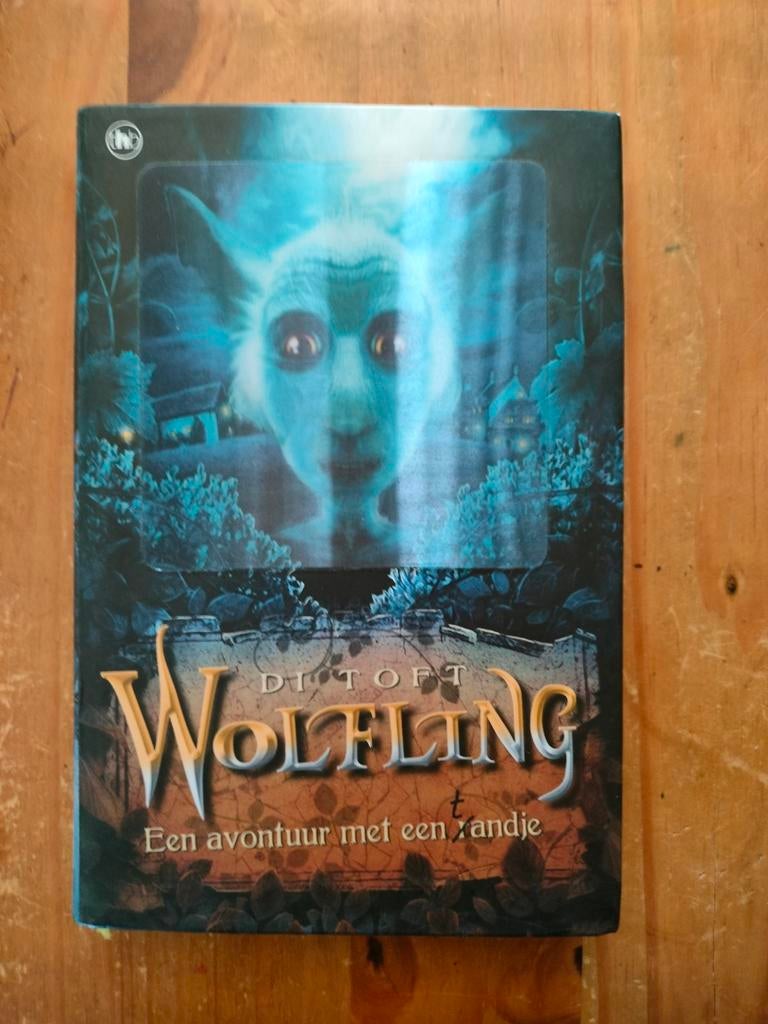 Di Toft Wolfling, Boeken, Ophalen of Verzenden, Zo goed als nieuw