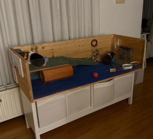 Ruime houten caviakooi incl. IKEA onderstel – in goede staat, Ophalen, Zo goed als nieuw, Overige typen