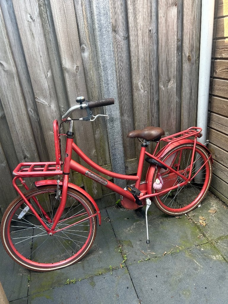 Kinderfiets, Ophalen, Terugtraprem, Popal Daily Dutch, 16 tot 20 inch