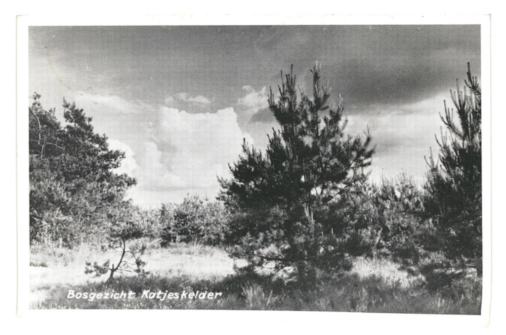 947156 Oosterhout NB 1960 Katjeskelder Gelopen met Postzegel, Ophalen of Verzenden, 1960 tot 1980, Gelopen, Noord-Brabant