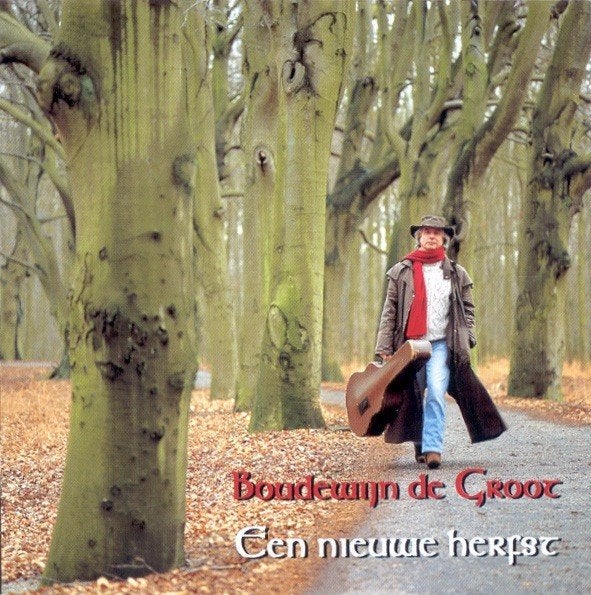 Boudewijn de Groot, Ophalen of Verzenden, Gebruikt, Pop