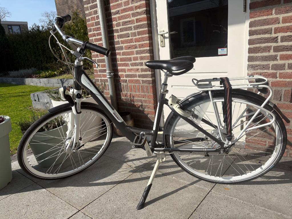 Damesfiets, Fietsen en Brommers, Fietsen | Dames | Damesfietsen, Ophalen, 47 tot 50 cm, Versnellingen, Giant