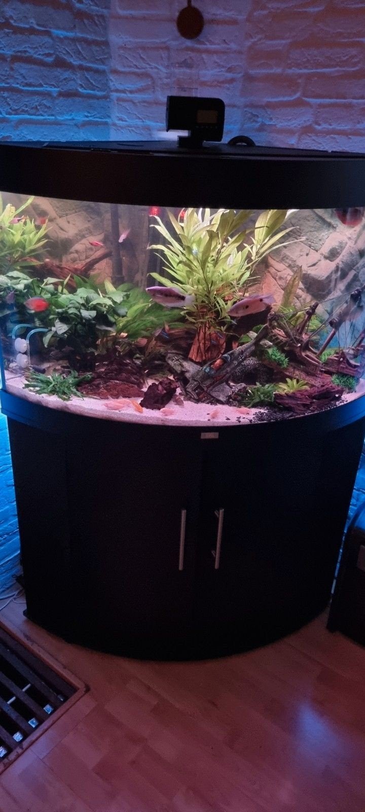 Aquarium, Dieren en Toebehoren, Vissen | Aquaria en Toebehoren, Ophalen