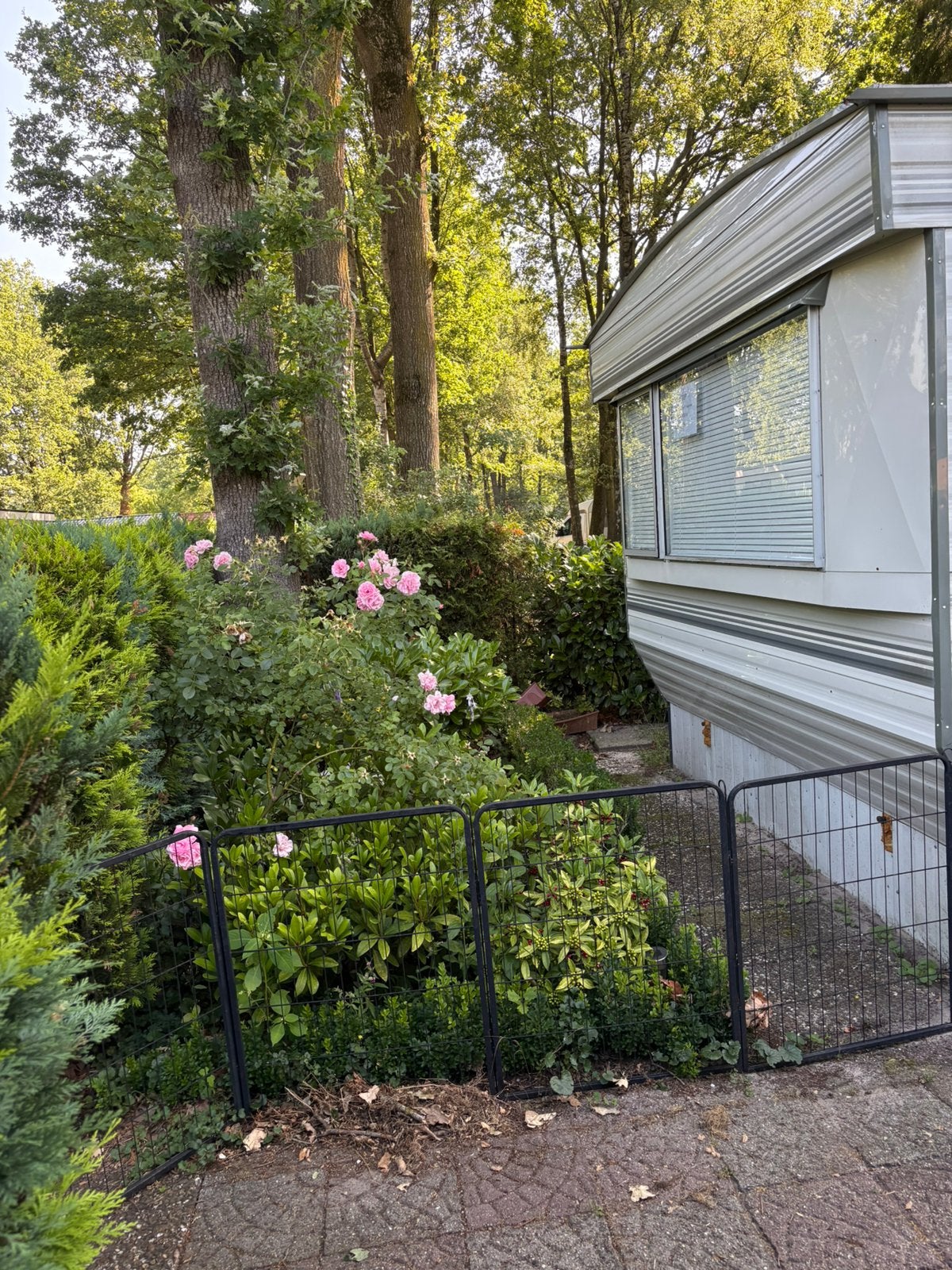stacaravan in wijster drenthe, Caravans en Kamperen, Stacaravans, Tot en met 6
