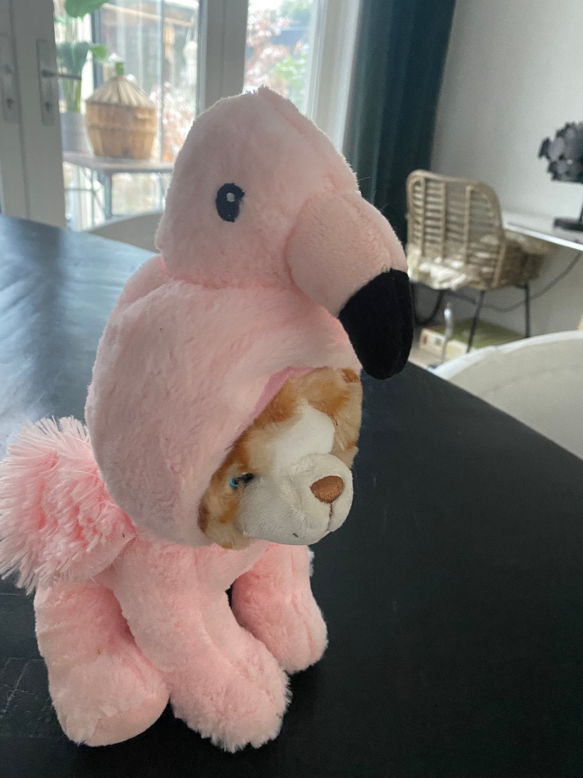 Knuffel/pluche kat verkleed als flamingo, Ophalen