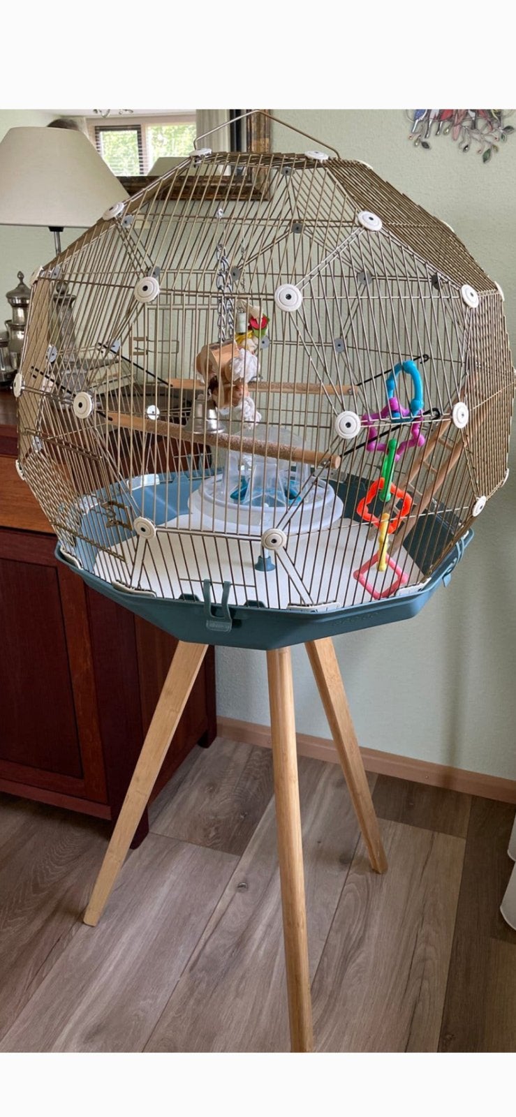 Mooie ruime vogelkooi. Merk Omlet, Dieren en Toebehoren, Vogels | Hokken en Kooien, Ophalen, Gebruikt, Metaal, Vogelkooi