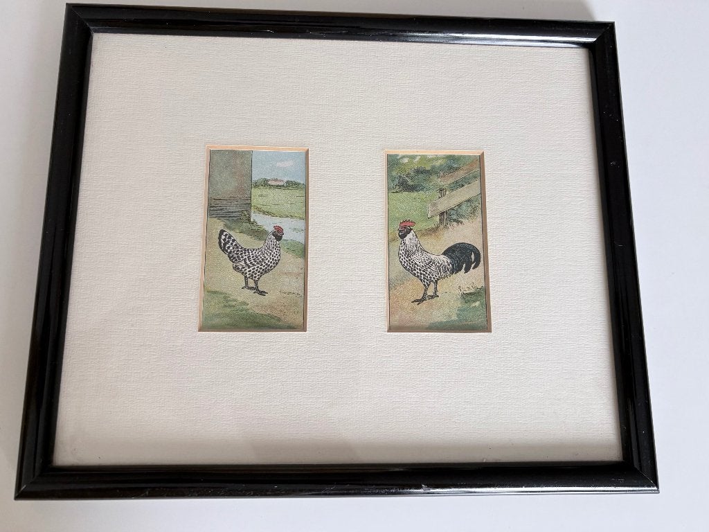 LITHO / ETS/ ZEEFDRUK 2 KIPPEN, Ophalen of Verzenden