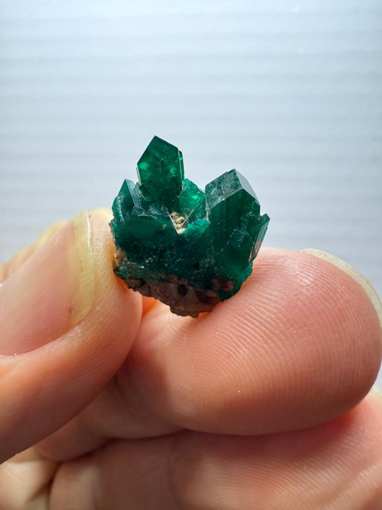 Dioptaas cluster kristal mineraal - Kaokoveld, Namibië, Verzamelen, Ophalen of Verzenden, Mineraal
