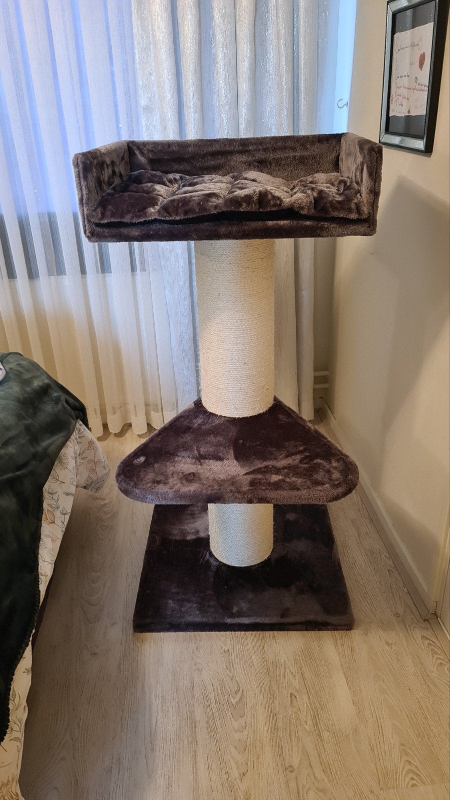 Stevige krabpaal voor grote katten (Maine Coon, Noorse Boska, Dieren en Toebehoren, Ophalen