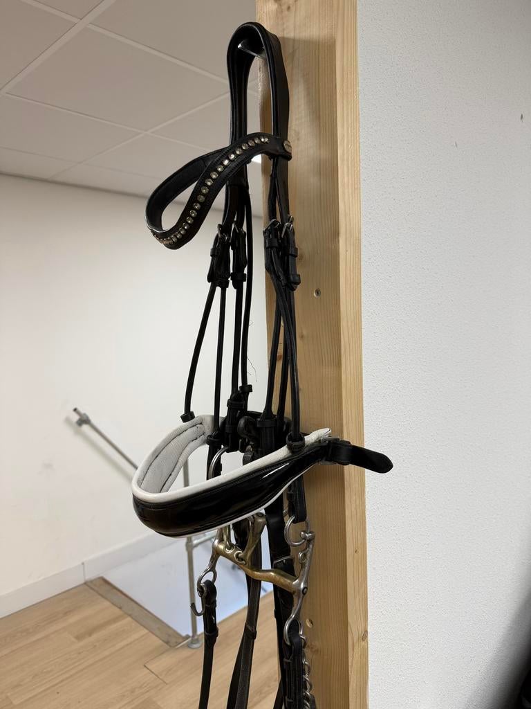 Dyon hoofdstel compleet met stang & trens, Dieren en Toebehoren, Paarden en Pony's | Hoofdstellen en Tuigage, Ophalen of Verzenden