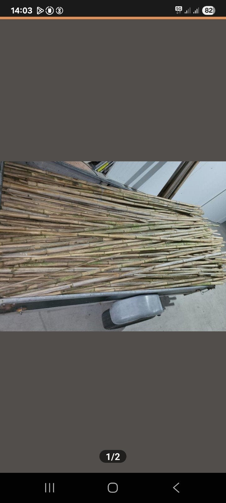Bamboe stokken 260 cm lang, Ophalen