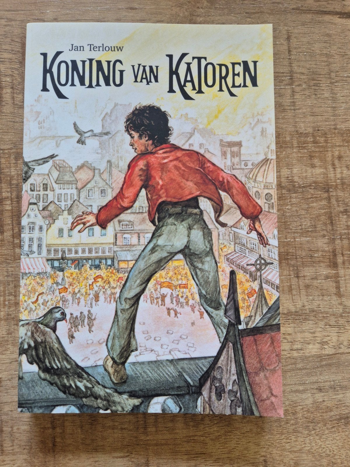 Koning van Katoren - Jan Terlouw (Jeugdliteratuur), Ophalen of Verzenden, Zo goed als nieuw, Jan Terlouw, Fictie