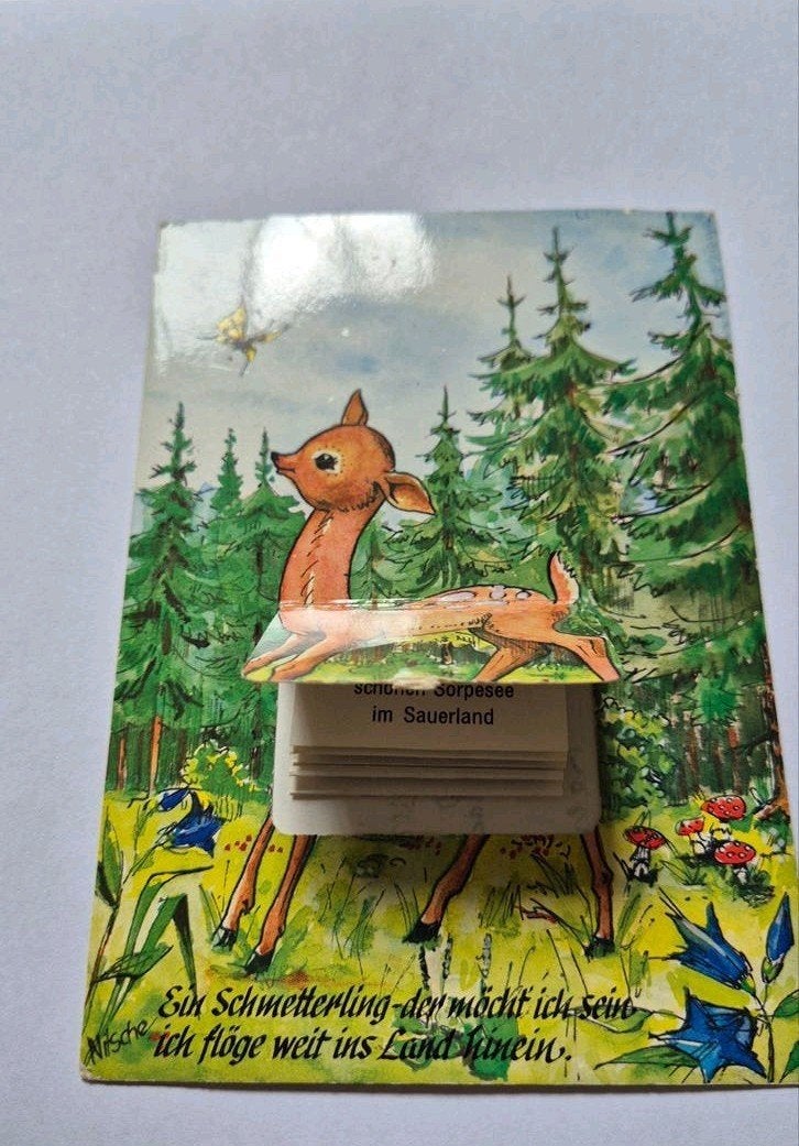 Ansichtkaart ree bambi met foto trappetje, Verzamelen, Ophalen of Verzenden, 1960 tot 1980, Gelopen, Wild dier