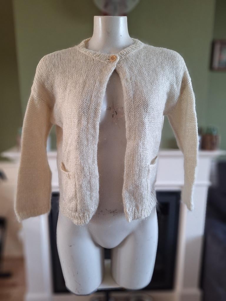 Xandres warm vestje wol mohair S 36 zilverdraad cardigan, Overige kleuren, Maat 42/44 (L), Ophalen of Verzenden, Zo goed als nieuw