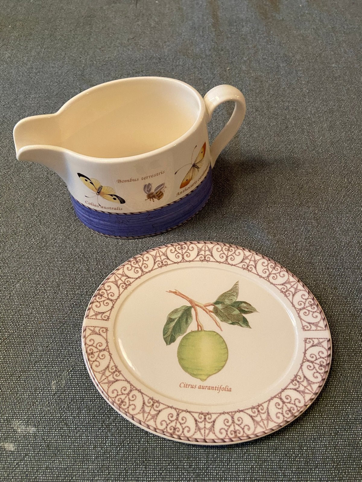 Wedgwood Sarah's Garden Sauskom met schotel, Ophalen, Gebruikt, Wedgwood, Porselein