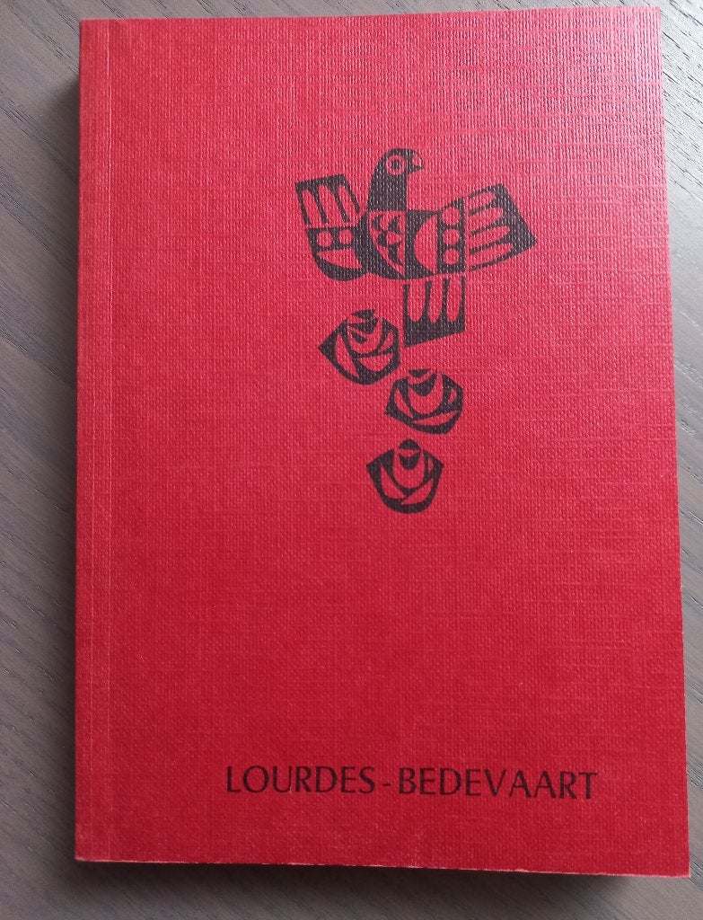 Pelgrimsboekje Lourdes bedevaart, Ophalen of Verzenden, Zo goed als nieuw, Boek, Christendom | Katholiek