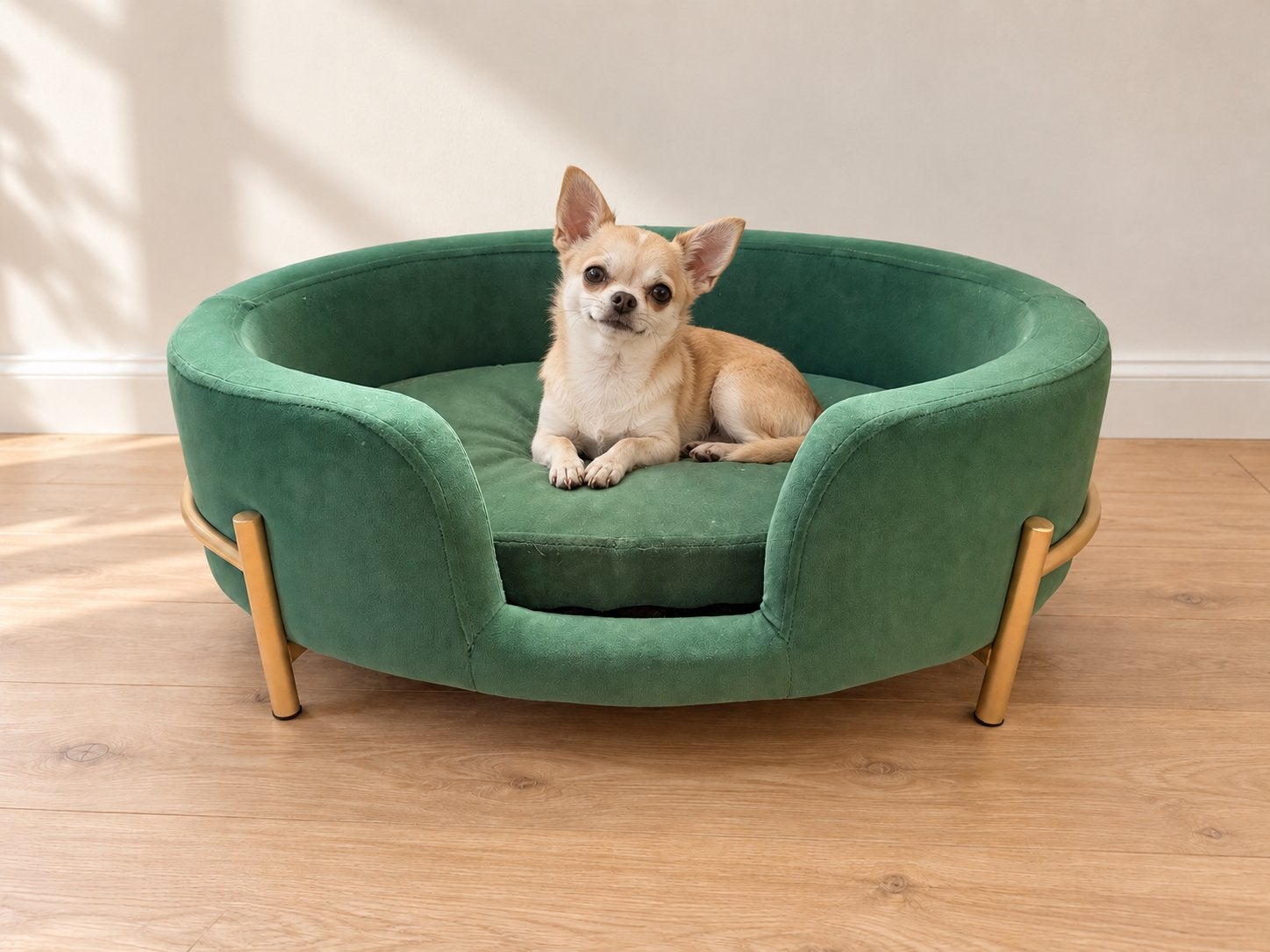 Hondenmandje voor kleine hond 64 x 41 x 24 cm, Ophalen, Zo goed als nieuw, X, Stof