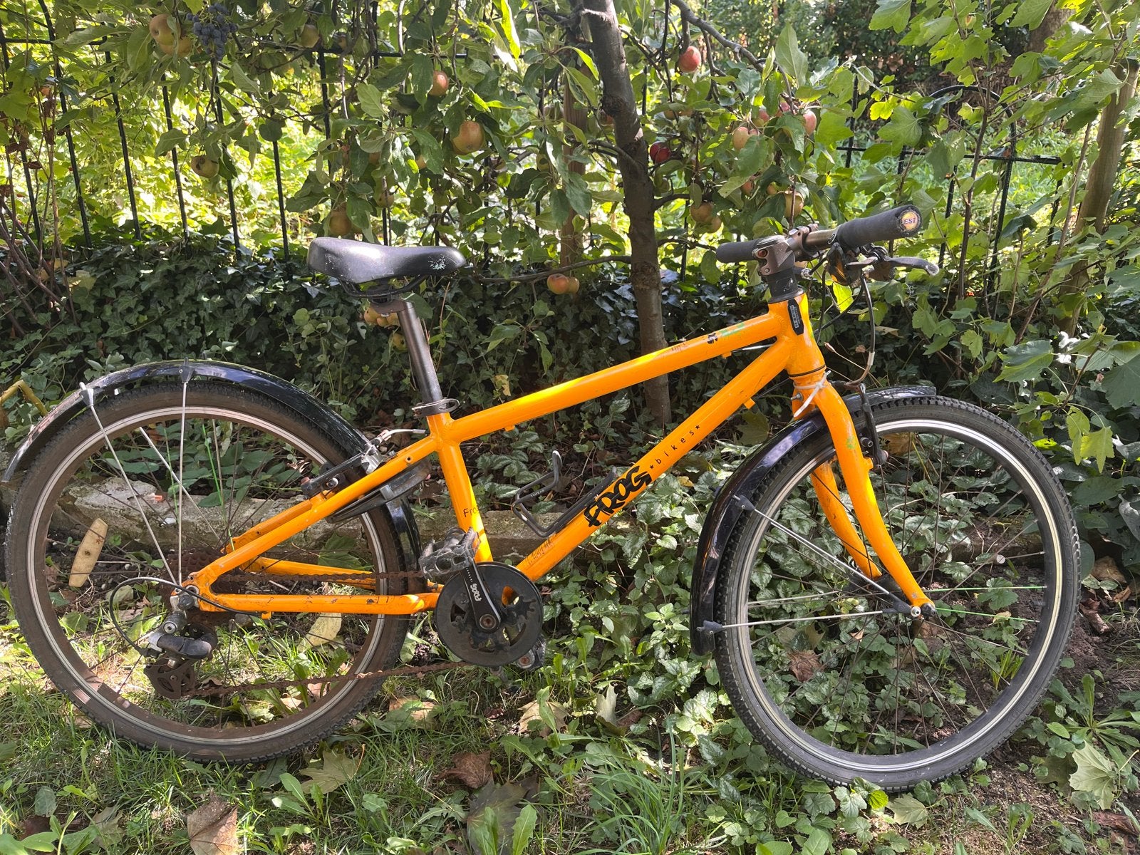 Gebruikte Frog Bike 62 - Opknapper met 24 inch wielen, Fietsen en Brommers, Ophalen, Gebruikt, 20 inch of meer