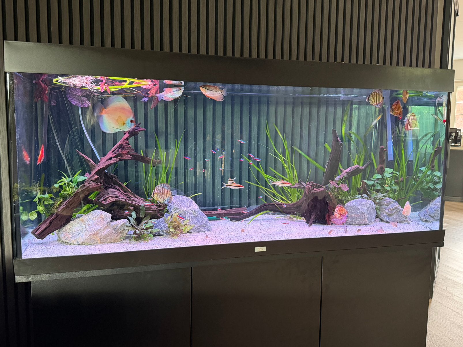 Juwel rio 450, Dieren en Toebehoren, Vissen | Aquaria en Toebehoren, Ophalen, Gebruikt, Leeg aquarium, Juwel