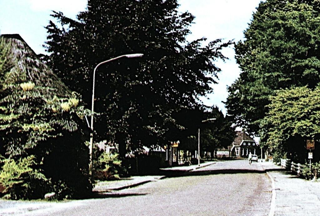 806149 Grolloo Jr 60 70 Hoofdstraat Nette kaart onbeschreven, Ophalen of Verzenden, 1960 tot 1980, Ongelopen, Drenthe