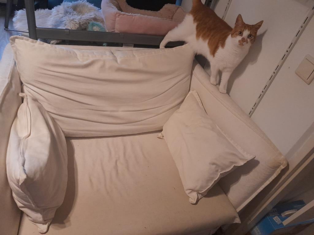 Heel comfy 1,5 zits bankje, Huis en Inrichting, Ophalen, Gebruikt, Overige maten, Minder dan 150 cm