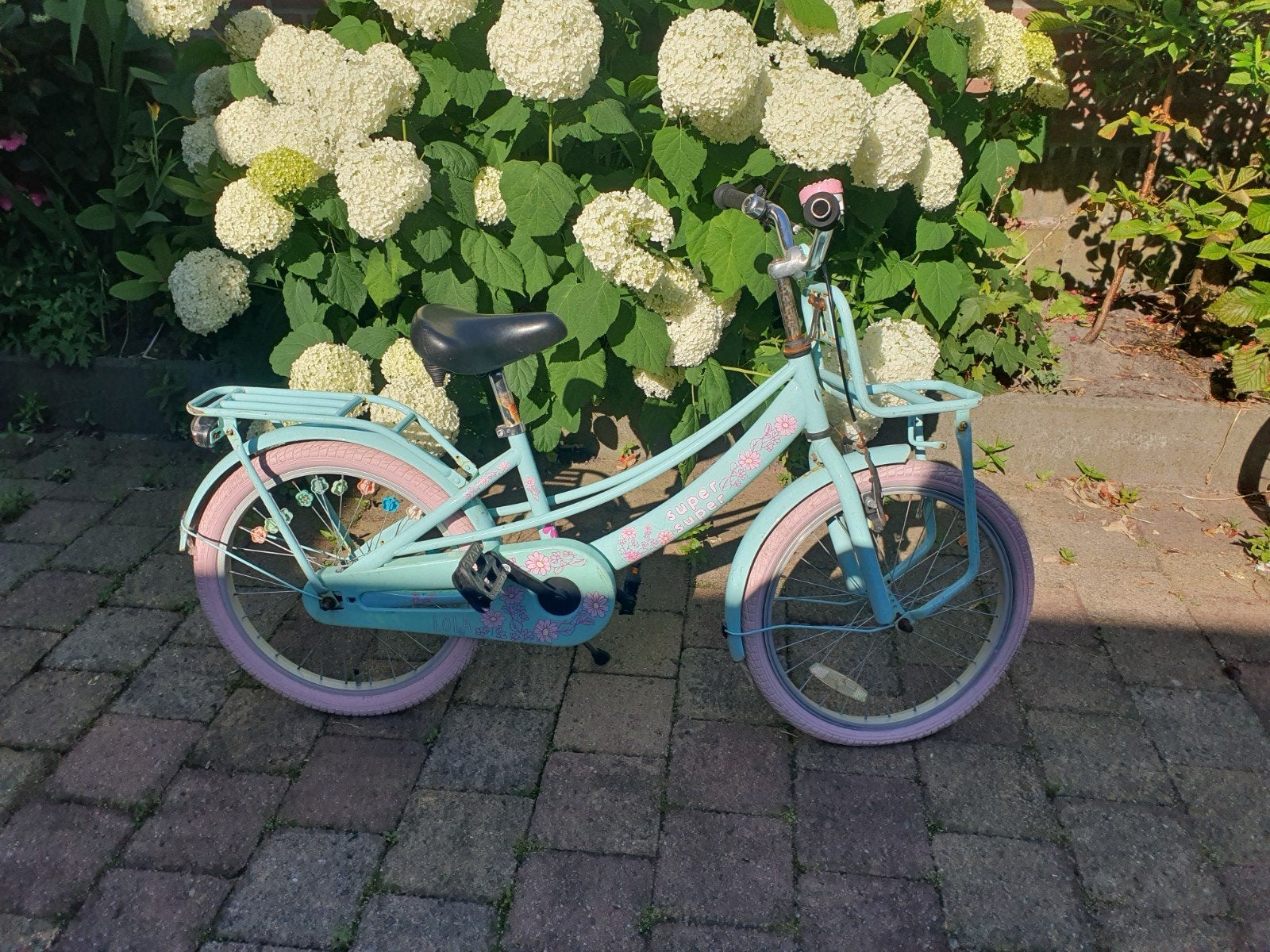 Kinderfiets 20 inch - Mintgroen met roze accenten, Ophalen, Gebruikt, 20 inch of meer