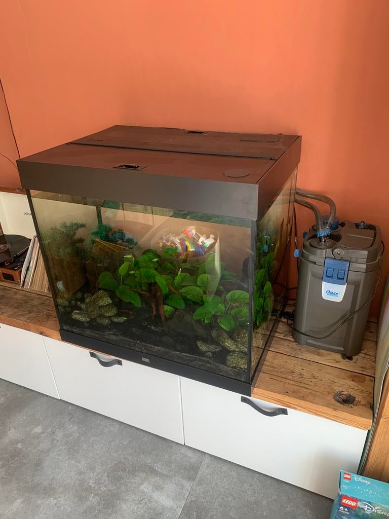 Juwel lido 200 met extern biomaster 350, Ophalen, Juwel, Inclusief toebehoren, Gevuld zoetwateraquarium