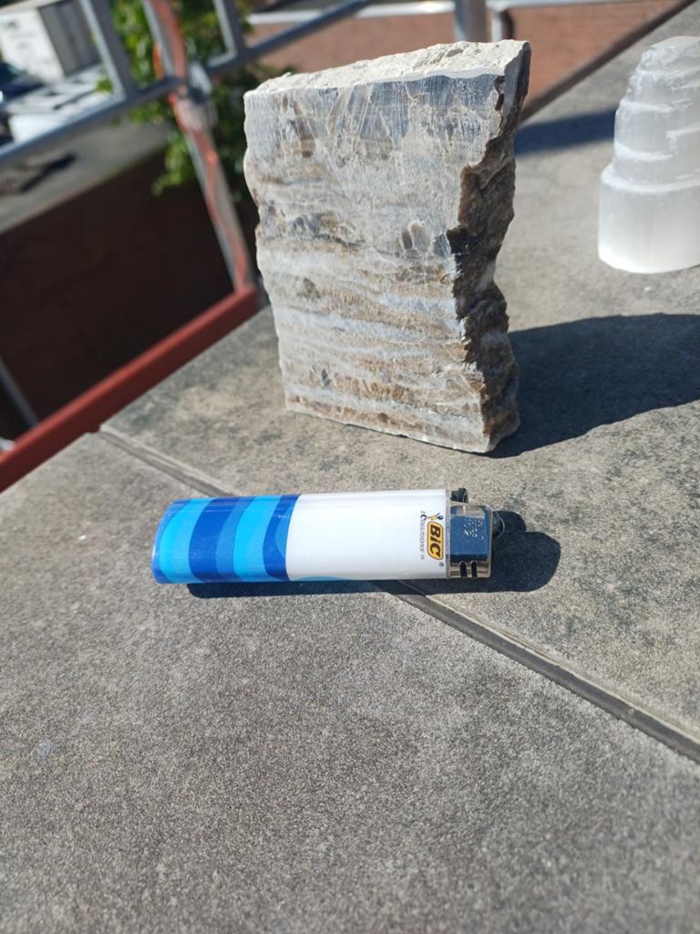 Versteend Hout, Ophalen of Verzenden, Overige typen