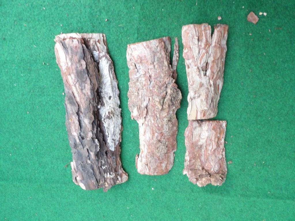 NIEUW 4 mooie grote droge stukken HOUTSCHORS ( 4 ), Ophalen of Verzenden, Nieuw, Knutselwerk