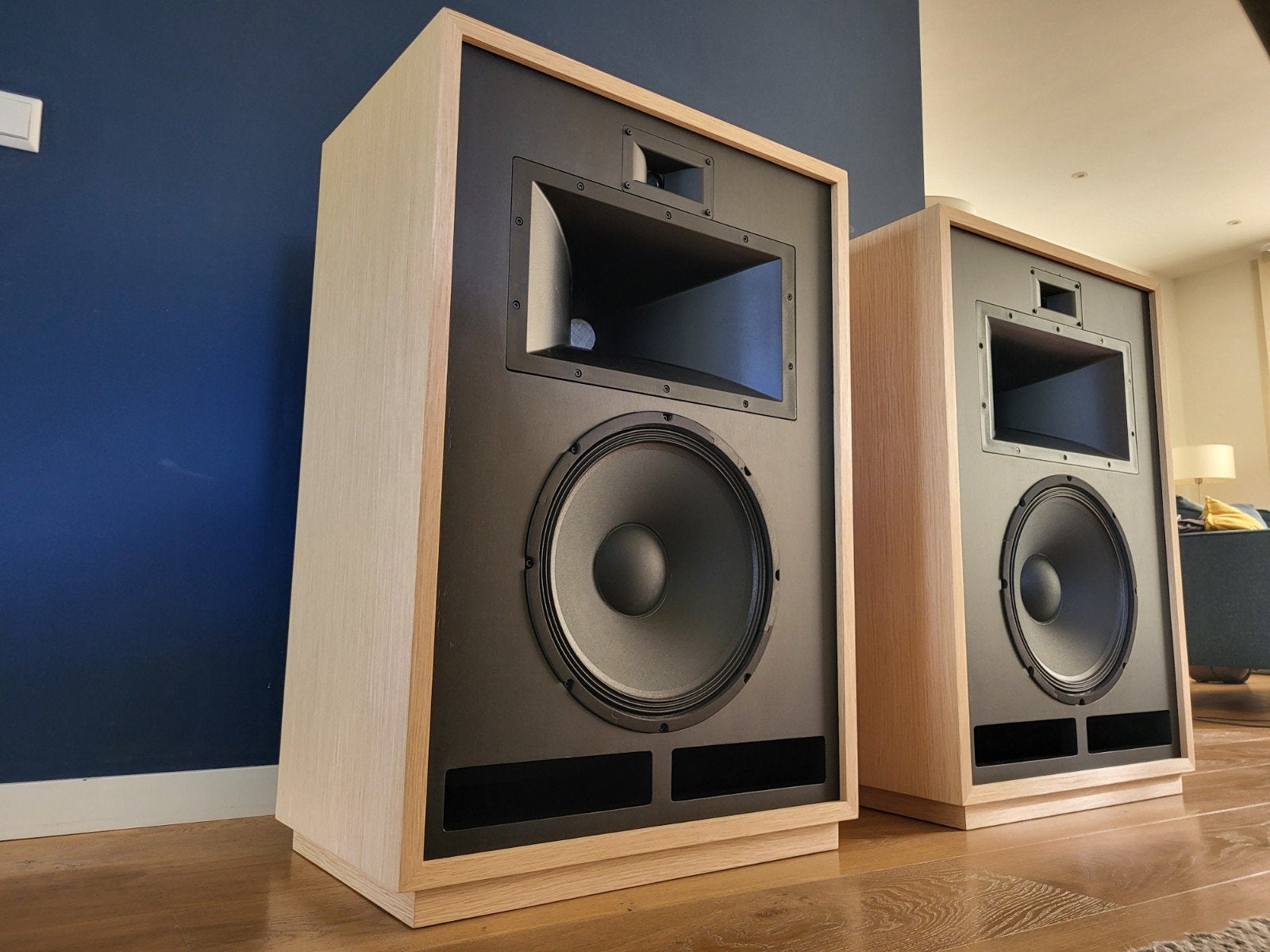 klipsch cornscala met hypex fa123, Ophalen, Overige merken