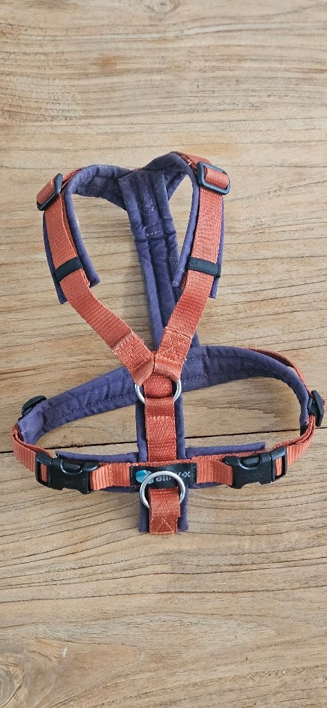Anny X hondentuigje XS Limited Edition, Dieren en Toebehoren, Hondenriemen, Ophalen of Verzenden, Zo goed als nieuw, Hondenriem-accessoire